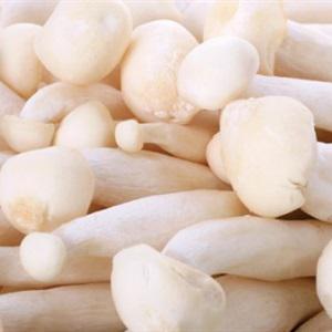 Cách làm thịt bò xào nấm linh chi trắng