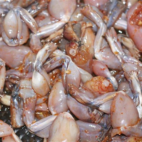 Cách làm thịt ếch xào sa tế