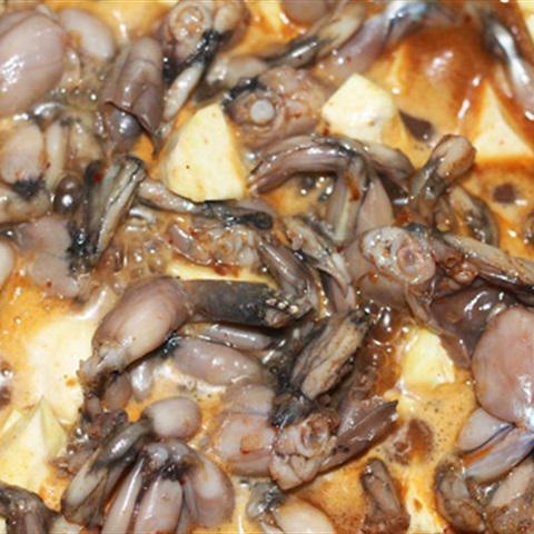 Cách làm thịt ếch xào sa tế