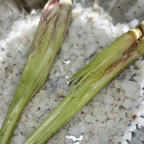 Cách làm thịt gà hấp muối