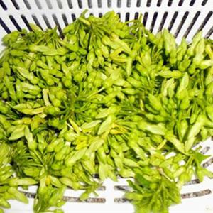 Cách làm thịt lợn kho trứng