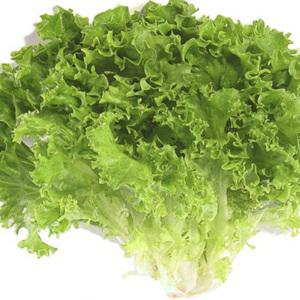 Cách làm thịt luộc chấm mắm ruốc