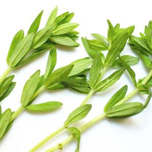 Cách làm thịt vịt nấu giả cầy