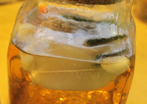 Thử ướp thịt nướng riềng mẻ thế này đi, chồng con sẽ gắp không ngừng đũa, năn nỉ làm thêm