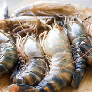 Cách làm tôm càng xanh sốt Thái