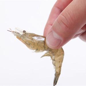 Cách làm tôm chiên hành gừng