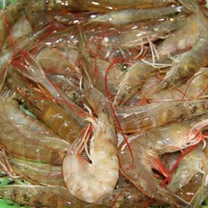 Cách làm tôm chiên tỏi