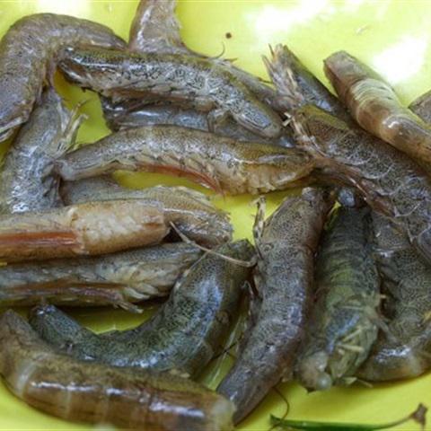 Cách làm tôm chiên trứng muối