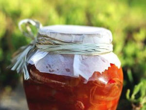 Tôm chua miền Tây (mắm tép)