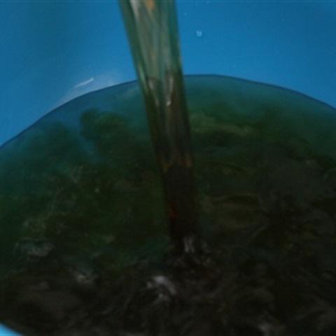 Cách làm tôm hấp chanh