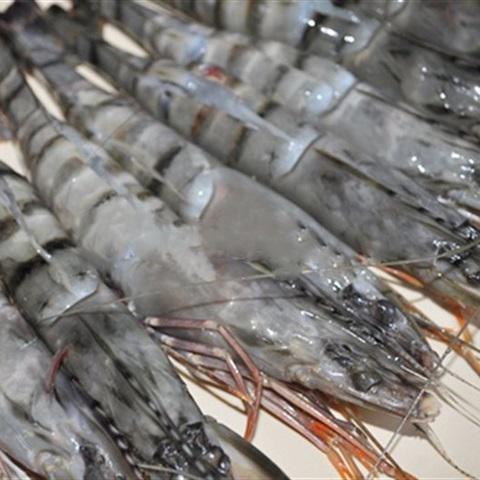 Cách làm tôm hấp xì dầu