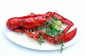 Tôm hùm Bắc Mỹ rô-ti