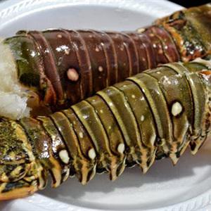 Cách làm tôm hùm xào bơ