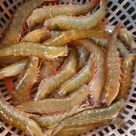 Cách làm tôm rang cùi dừa