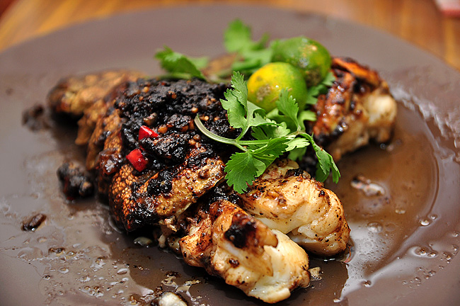 Tôm tích sốt tiêu đen