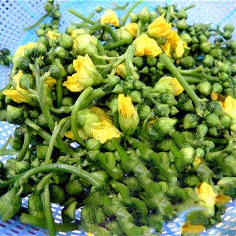 Cách làm tôm xào nụ hoa mướp