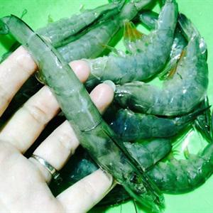 Cách làm tôm xiên nướng bơ tỏi