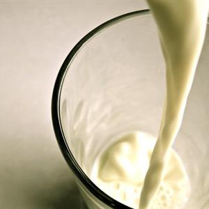 Cách pha trà lipton cam sữa