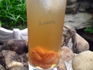 Trà sâm bông cúc nhãn nhục giải nhiệt tức thì