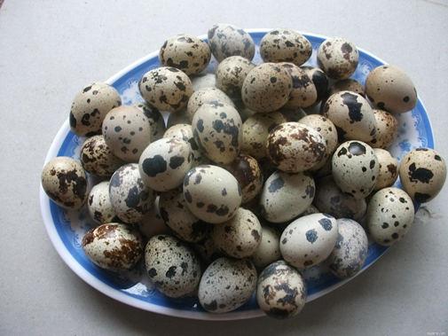 Trà sữa chân trâu thạch phô mai "đốn đổ" mọi tín đồ ăn vặt