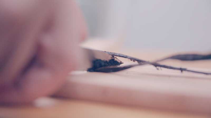 Trà sữa chậu cây  đơn giản mà sáng tạo