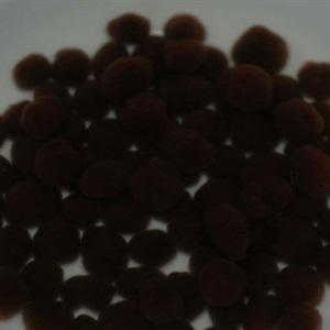 Cách làm trà sữa hạt trân châu