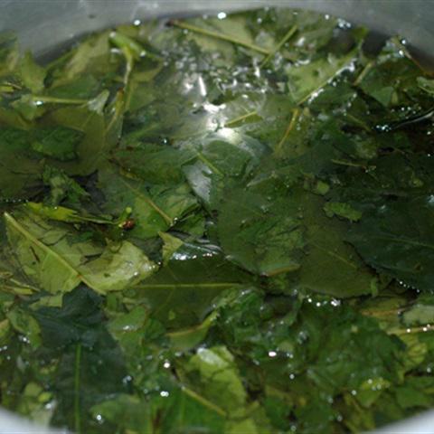 Cách làm trà tắc mật ong