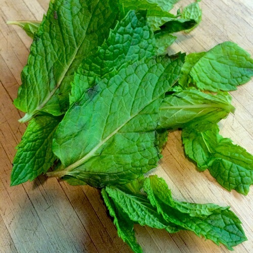 Tráng miệng cùng mousse dưa bở thơm ngậy thanh mát