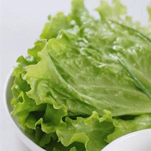 Cách làm trứng chiên cuộn xà lách