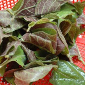 Cách làm trứng chiên lá mơ