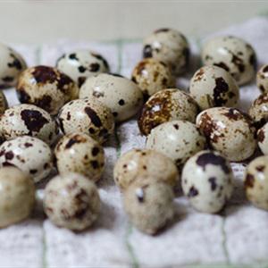 Cách làm trứng cút rang muối