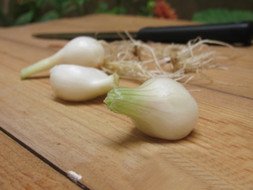 Trứng hấp rau củ siêu đơn giản và bổ dưỡng cho bé yêu