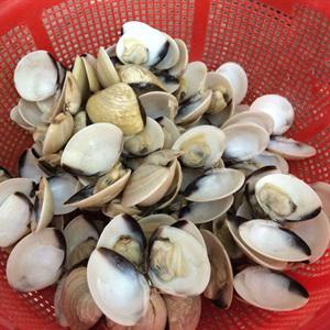 Cách làm trứng xào ngao