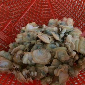 Cách làm trứng xào ngao