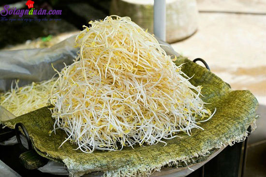 Tự làm giá đỗ ở nhà an toàn hợp vệ sinh