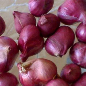 Cách làm hành phi thơm ngon tại nhà