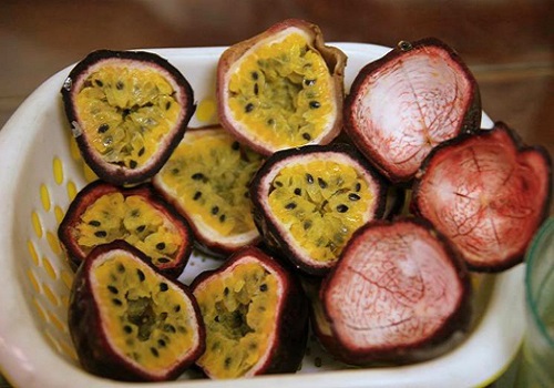 Tự làm sữa chua mít mát lạnh, thơm ngon như ngoài hàng