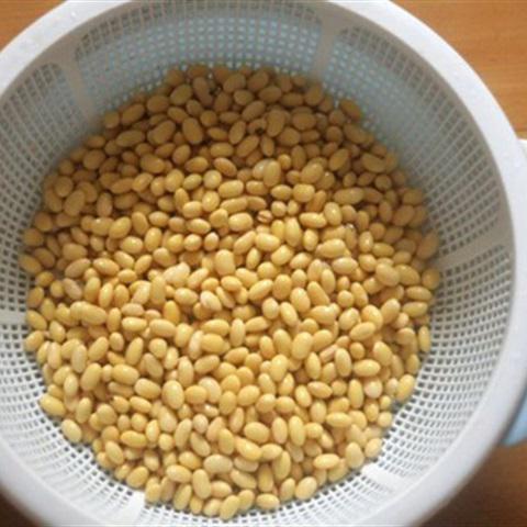 Cách làm sữa đậu nành thơm ngon