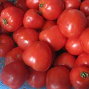 Cách làm tương cà chua