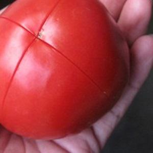 Cách làm tương cà chua