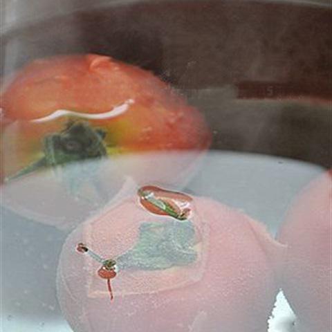 Cách làm tương cà