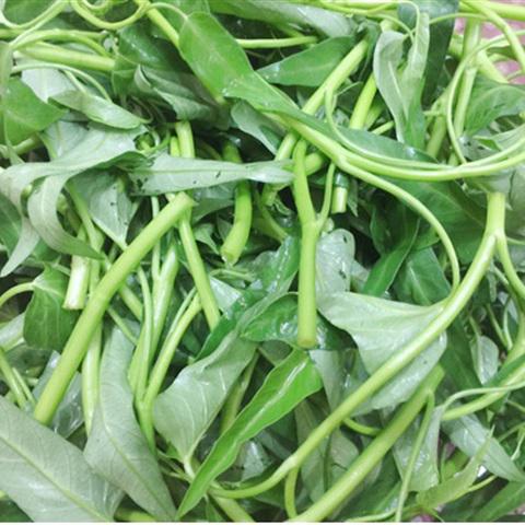 Cách làm vịt nấu chao