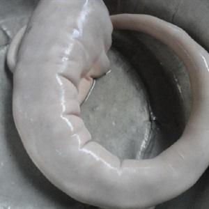 Cách làm lẩu đuôi bò