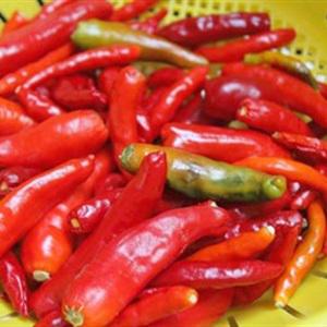 Cách làm tương ớt tỏi