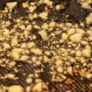 Cách làm vịt kho gừng tươi