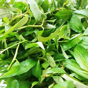 Cách làm vịt lộn xào me ngon