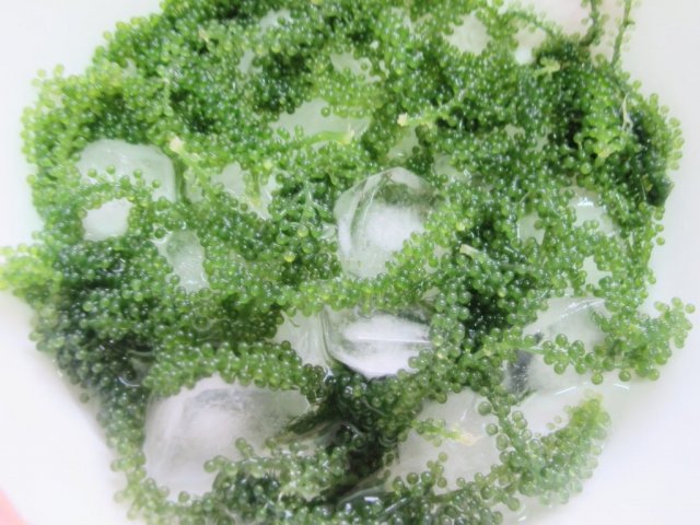 Xà lách gà rong nho