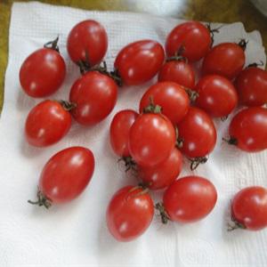 Xiên nướng sắc màu ngày Giáng sinh