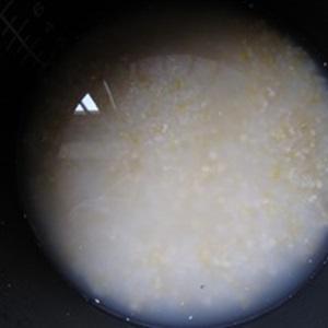 Cách làm xôi bắp bọc tôm