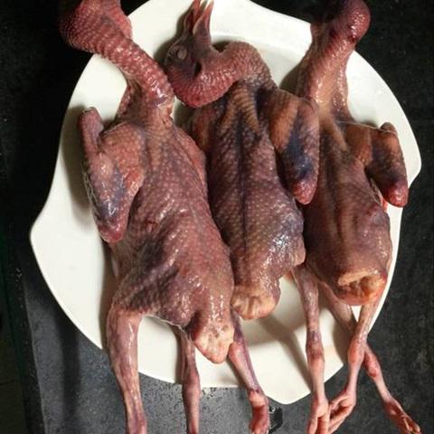 Cách làm xôi chim câu